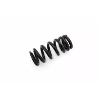 Shock Spring — Black, Rear