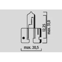 Halogen Bulbs — 12V, 21W, BAY9s (H21W), 10 Pack