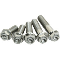 Titanium Screws — M8 x 25, Titanium, 4 Pack