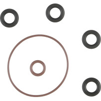 Induction Module O-Ring