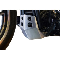 Skid Plate — Brushed aluminum