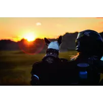 Pet Palace Titan — 56 × 47 × 30.5 cm, 78 L, Black