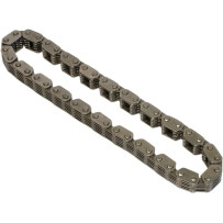 Cam Chain — Outer mount, 22 links, 8063