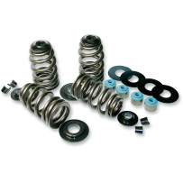 Beehive® Valve Spring Kit — 0.3125" stem, Econo Beehive