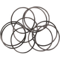 Oil Pump O-Ring — Viton, 10 pack