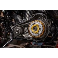 Power Plate Kit — High-pressure clutch springs, Gold