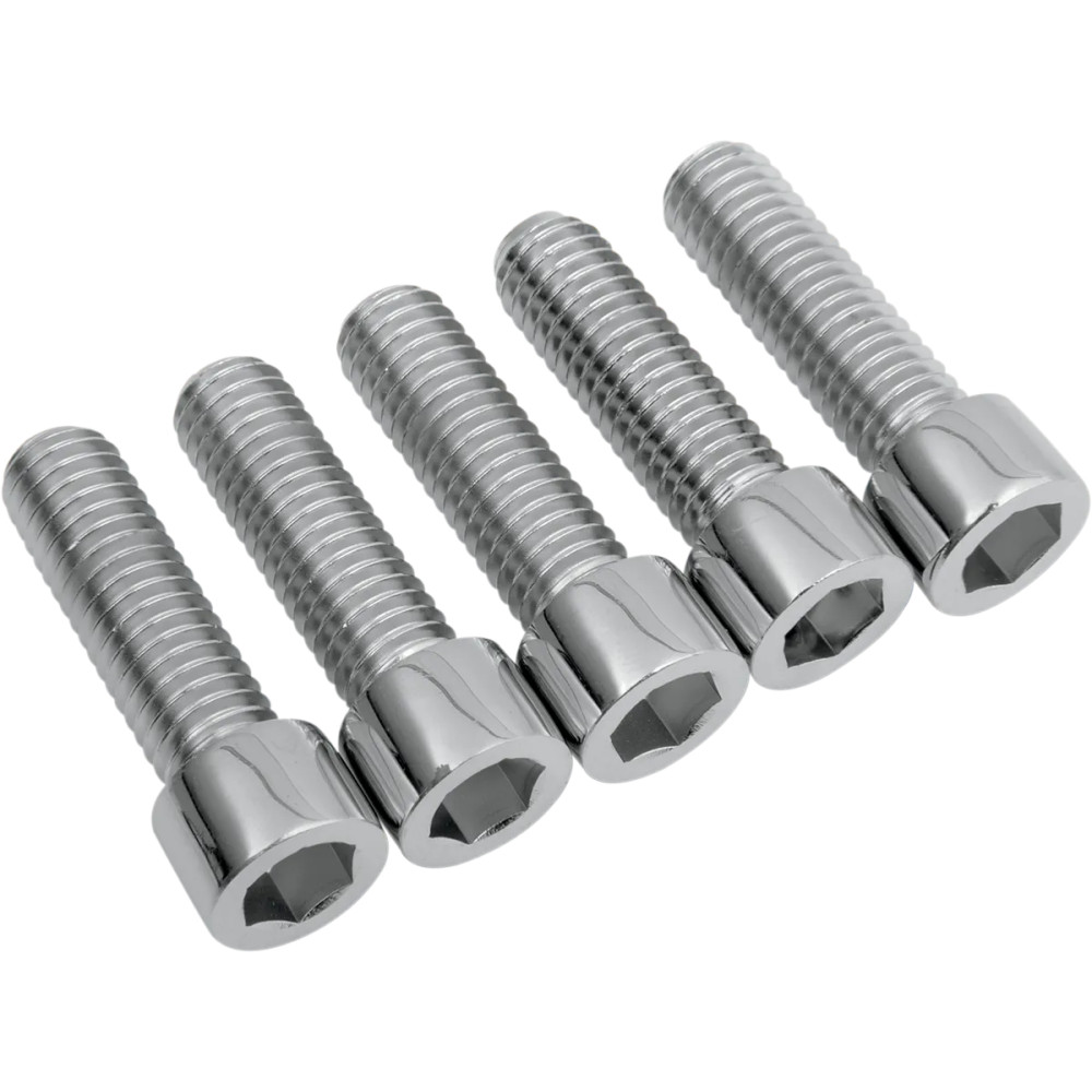 Socket Head Pulley Bolts — 5-pack, silver