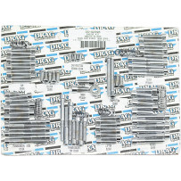 Engine Case Bolt Set — Chrome