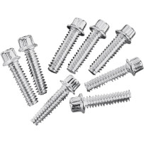 12-Point Lifter Base Screws — 1/4"-20, Set of 8, Chrome